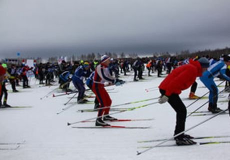 В «Лыжне России» приняли участие около 15 тыс. рязанцев