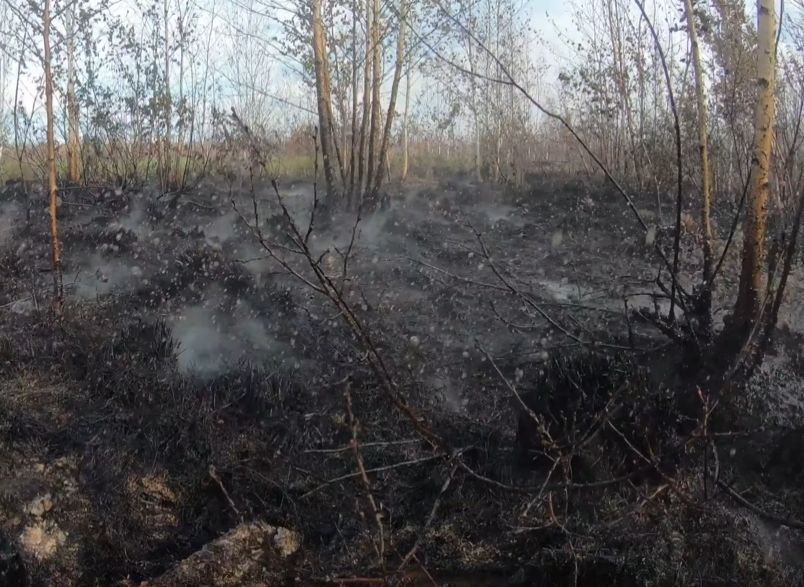 Добровольные пожарные показали, как горит торфяник под Рязанью