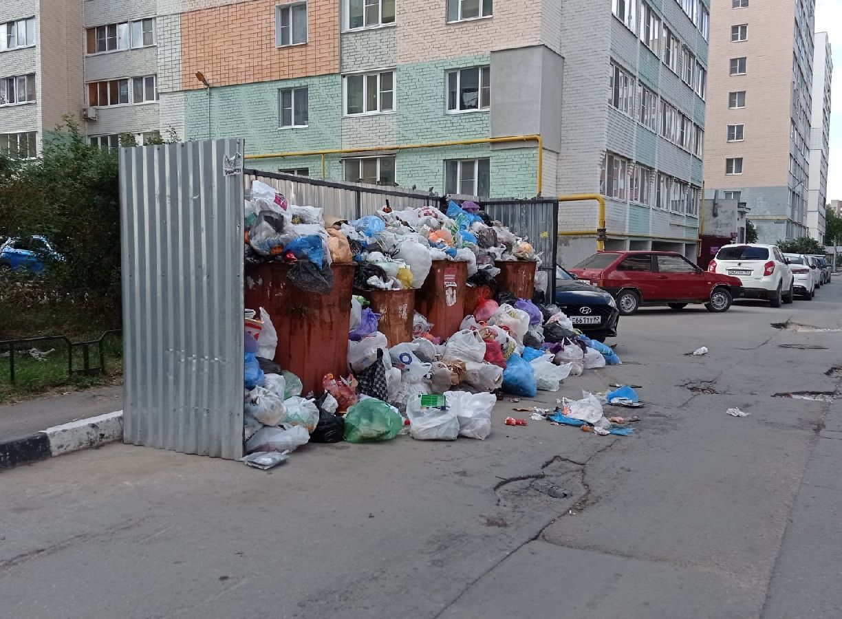 Мусорка во дворе. Помойка во дворе. Мусорные контейнеры во дворе.