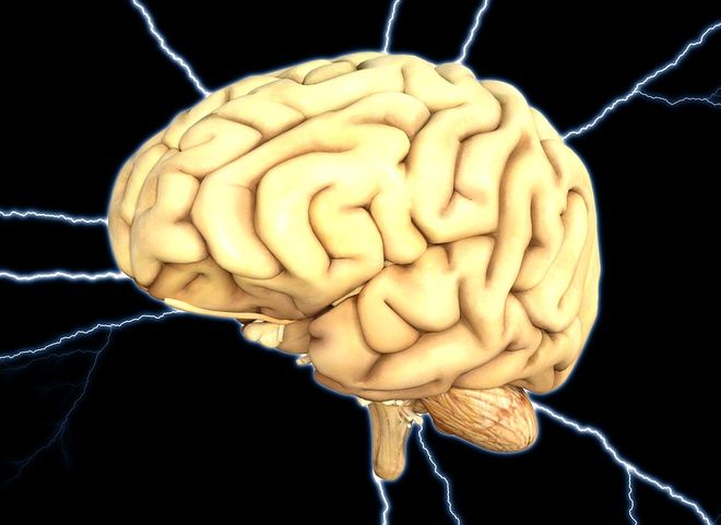 Ученые выяснили, что мозг крадет энергию у мускулов