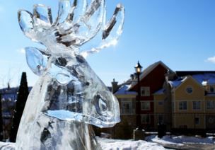 Олень из Рязани занял 2-е место на фестивале ледяных скульптур