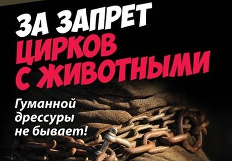 Рязанские зоозащитники устроят митинг за цирк без животных