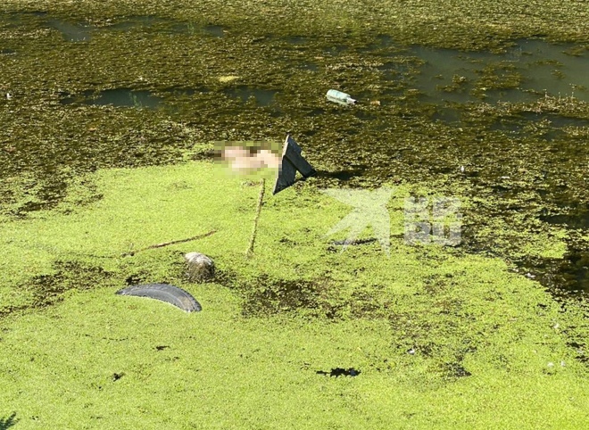 Опубликован снимок с места обнаружения трупов на рязанском пруду