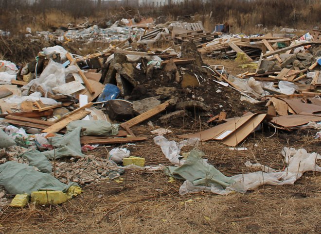 Рязанская область попала в число проблемных регионов по мусору