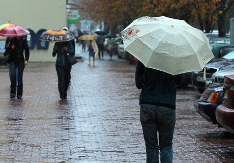 В Рязанской области ожидается небольшой дождь, +19 ºС