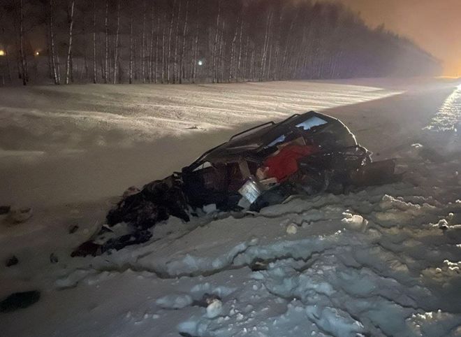 В Александро-Невском районе произошло смертельное ДТП