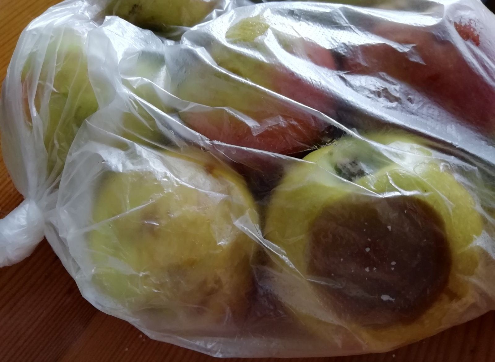 Рязанские власти «накормили» ребенка-инвалида гнилыми яблоками и ржавыми консервами