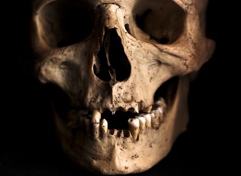 В Рязани во время дорожных работ обнаружили человеческие останки
