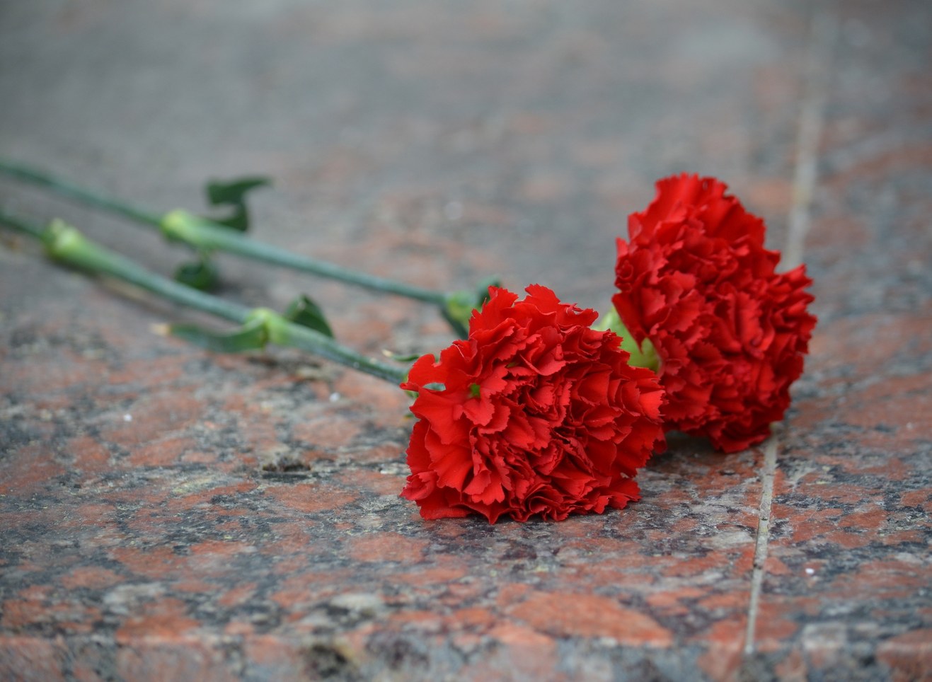 В Рязани похоронили погибшего на Украине прапорщика