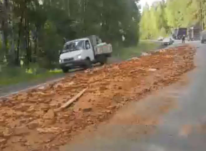 На трассе в Рязанской области из фуры высыпались кирпичи