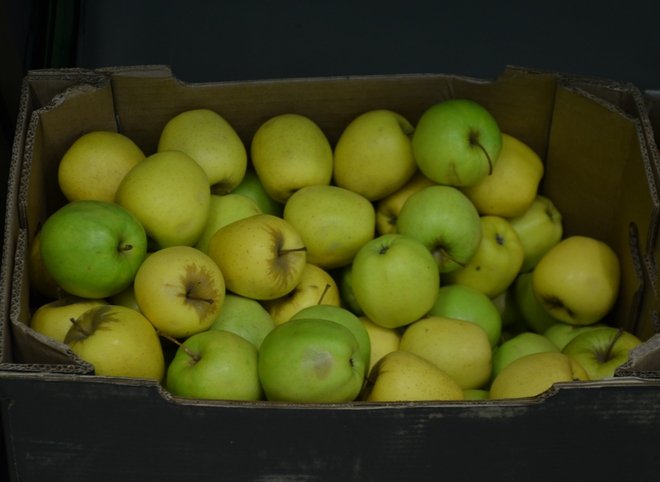 В Рязани раздавили более тонны польских яблок