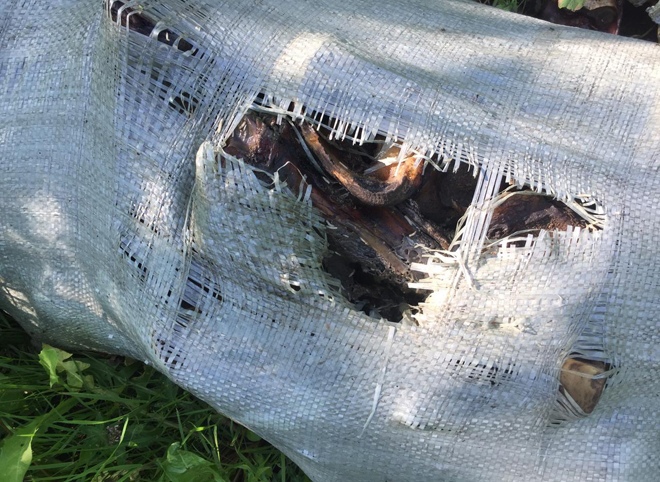 На окраине Рязани в мешках нашли гниющие останки крупного рогатого скота