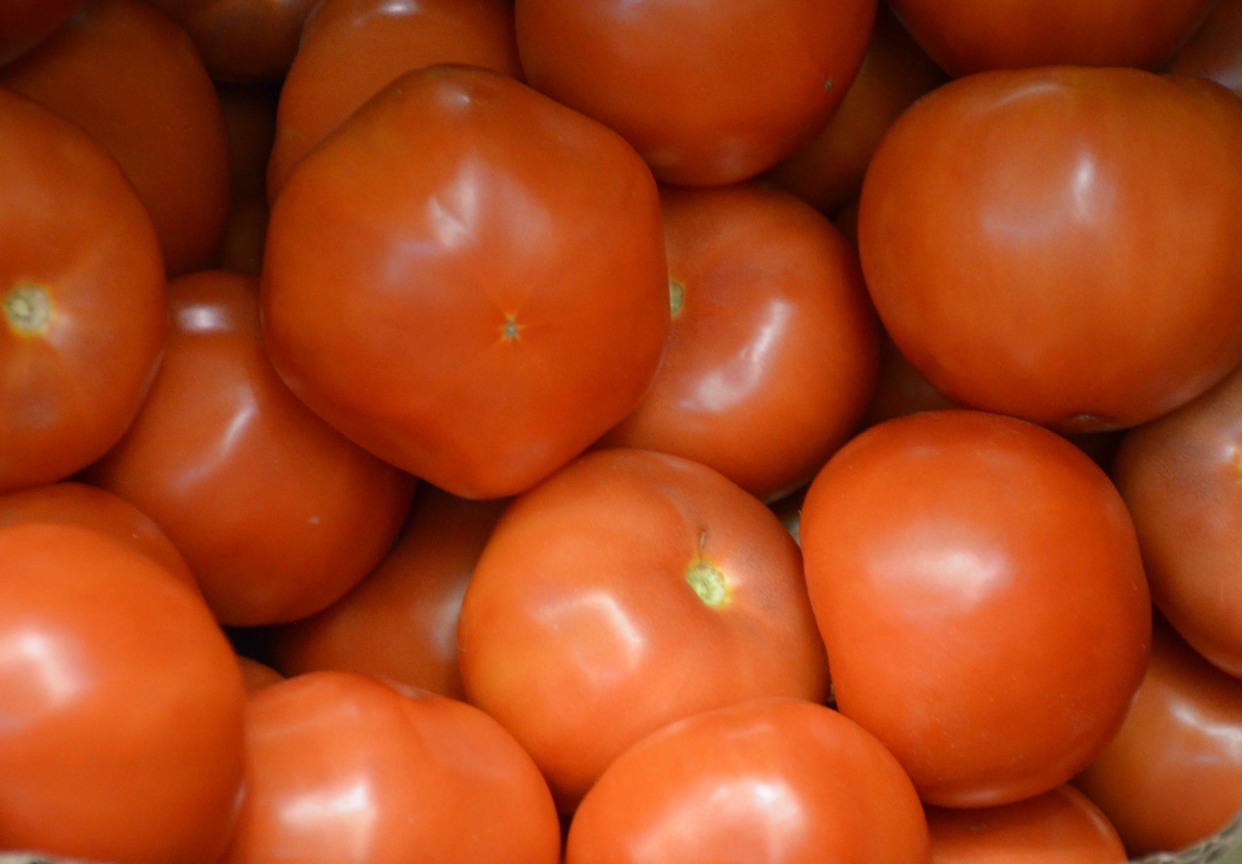На ярмарке нашли томаты неизвестного происхождения