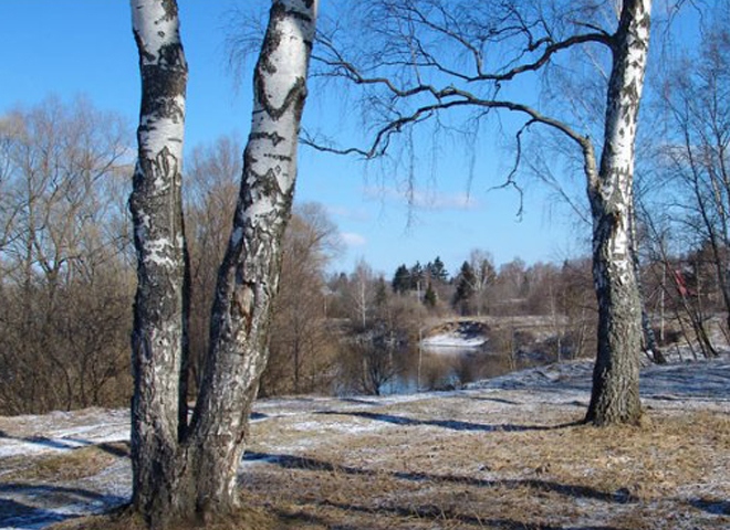 В воскресенье в Рязанской области ожидается до +17 °С