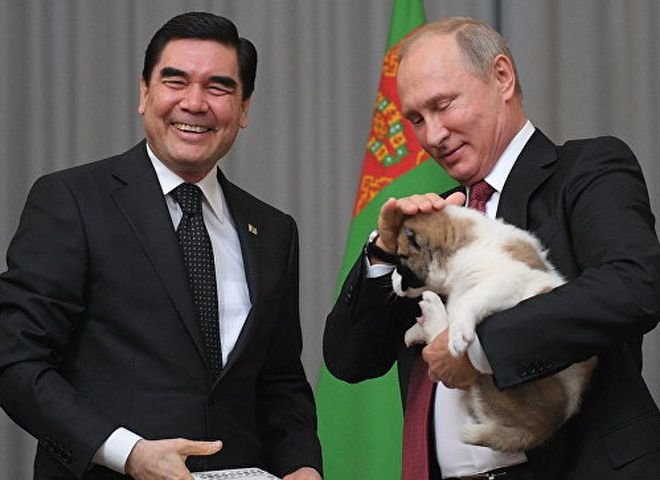 Президент Туркмении подарил Путину щенка алабая (видео)