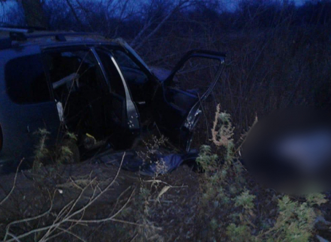 В Рязанском районе мужчина погиб после опрокидывания автомобиля в кювет