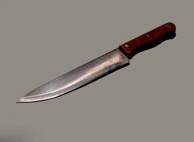 В Рязани 43-летний мужчина напал с ножом на сестру