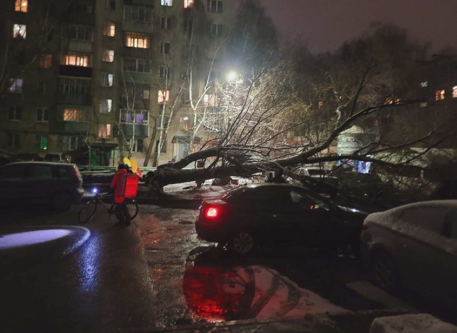 На Московском шоссе дерево рухнуло на линию электропередачи
