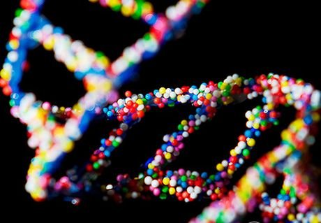 Редактирование генома человека: за и против