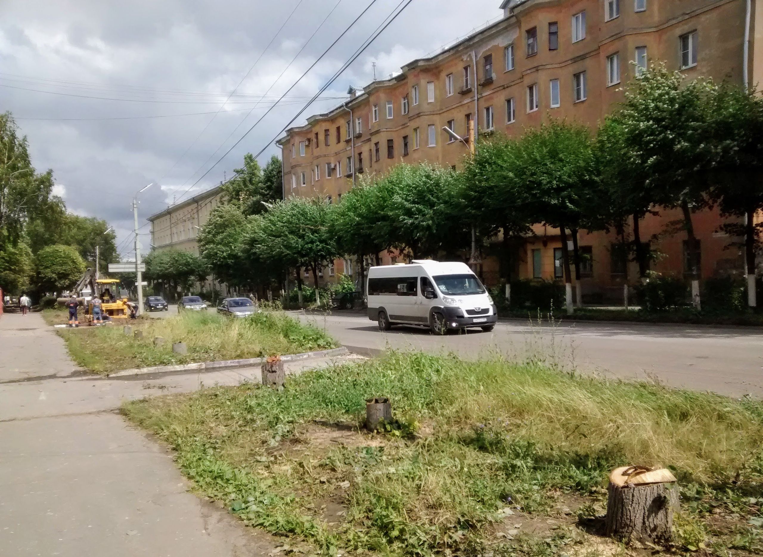 Соцсети: на улице Гагарина вырубили деревья для обустройства парковки
