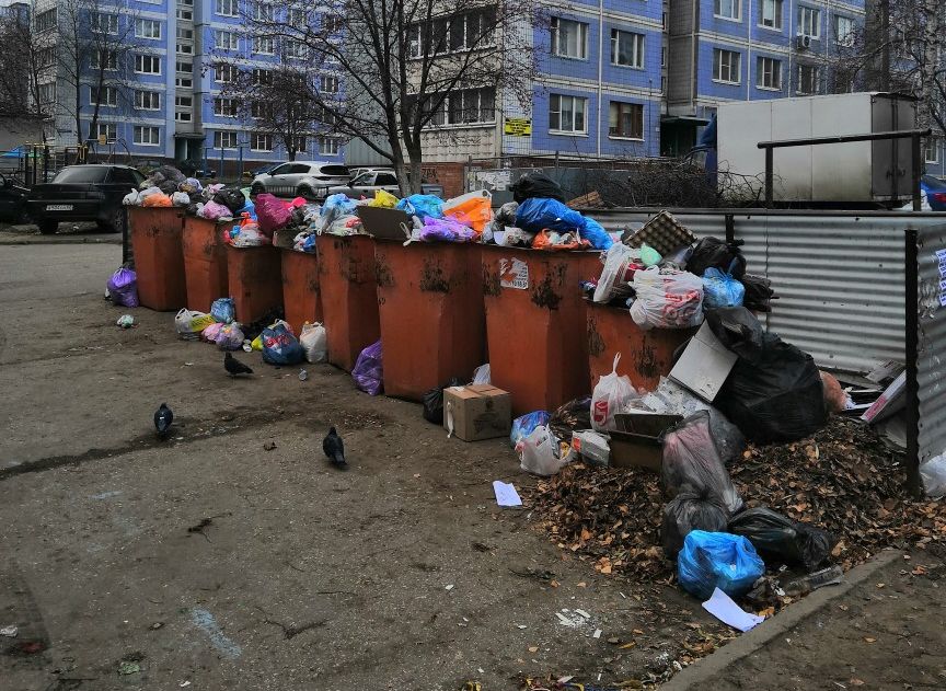 Рязанцы пожаловались на «мусорный коллапс» в городе