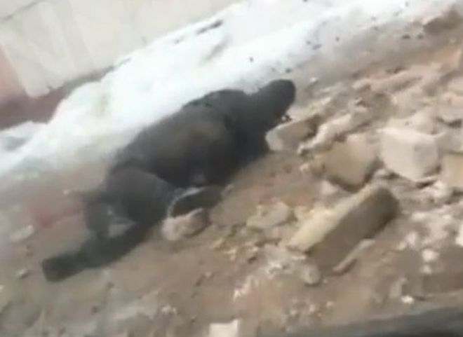 В Иванове на 20-летнюю девушку рухнул кусок стены