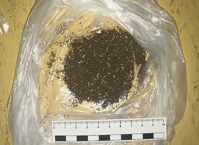 В Рязани осужденному в колонию передали чай с наркотиками