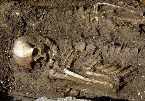 На дачном участке под Рязанью обнаружили останки человека