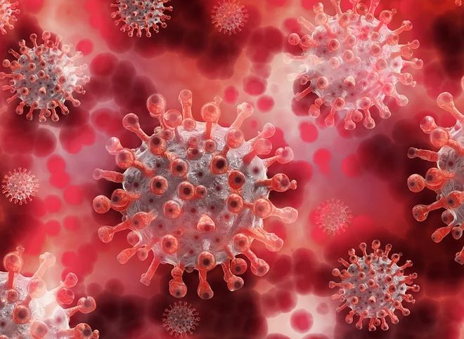 В Рязанской области за сутки выявлено 75 случаев заражения коронавирусом