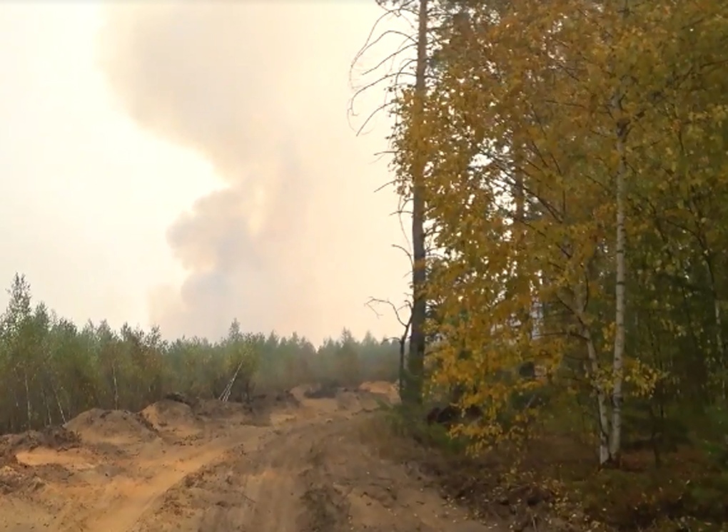 В Рязанской области произошел лесной пожар