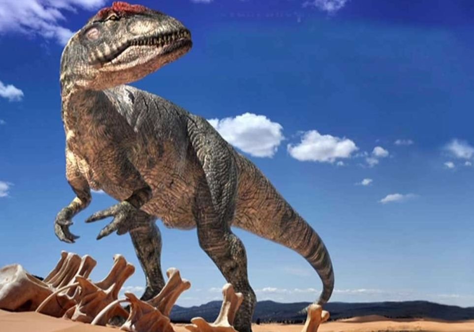 В Аргентине обнаружили «кладбище динозавров»