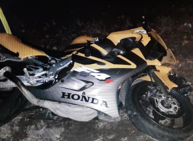 В Клепиковском районе мотоциклист сбил лося