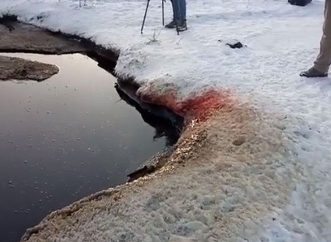 Под Омском обнаружили кровавое озеро