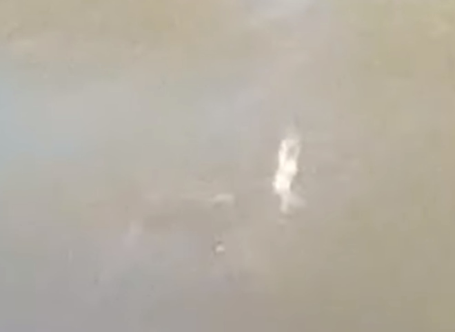 Опубликовано видео наезда на пешехода на перекрестке у «Глобуса»
