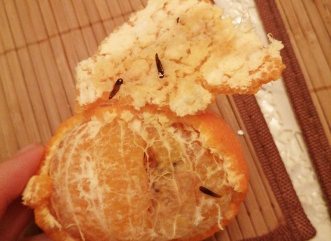 В рязанском гипермаркете продавали мандарины с черными червями