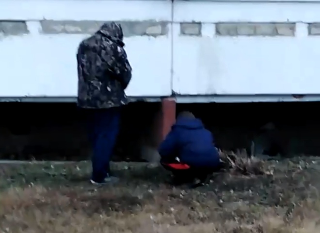 Видео: двое новомичуринцев «ищут закладку»