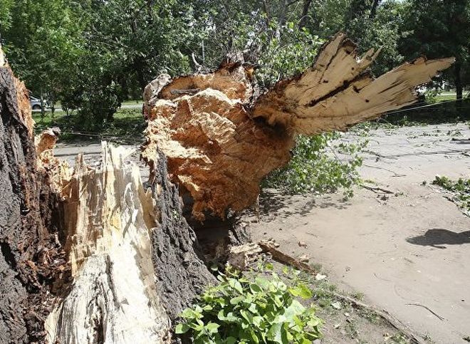 В Центральной России из-за урагана погибла женщина, пострадали 52 человека
