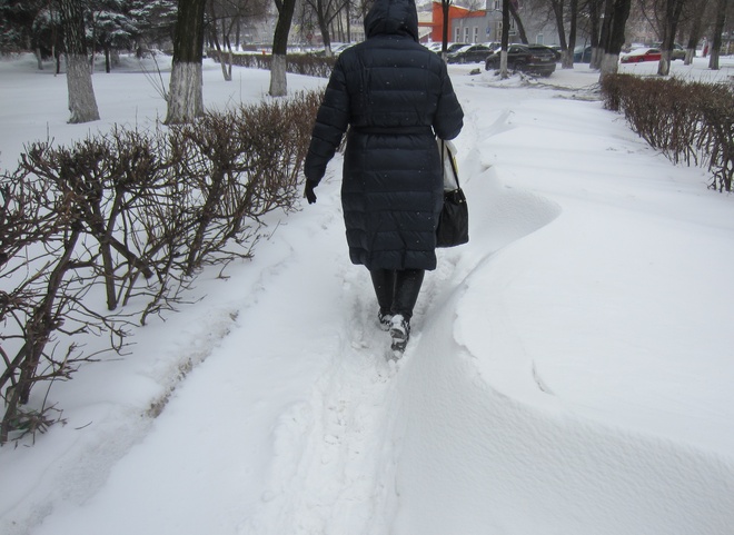 Снегопад в Москве может стать сильнейшим за 68 лет