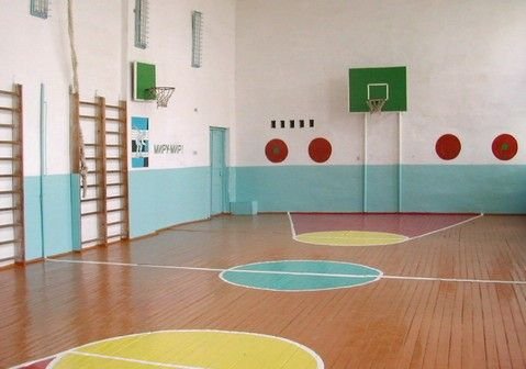 На спортзалы сельских школ Рязани потратят 30 млн