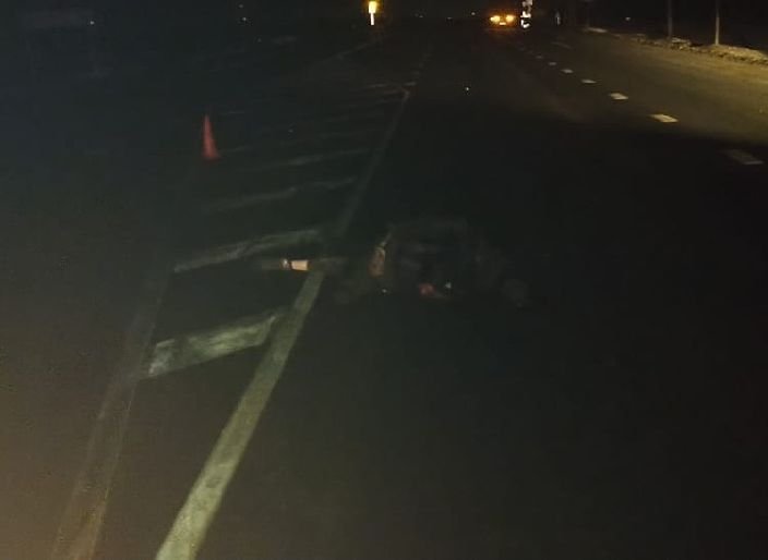 На трассе М6 в Михайловском районе насмерть сбили пешехода