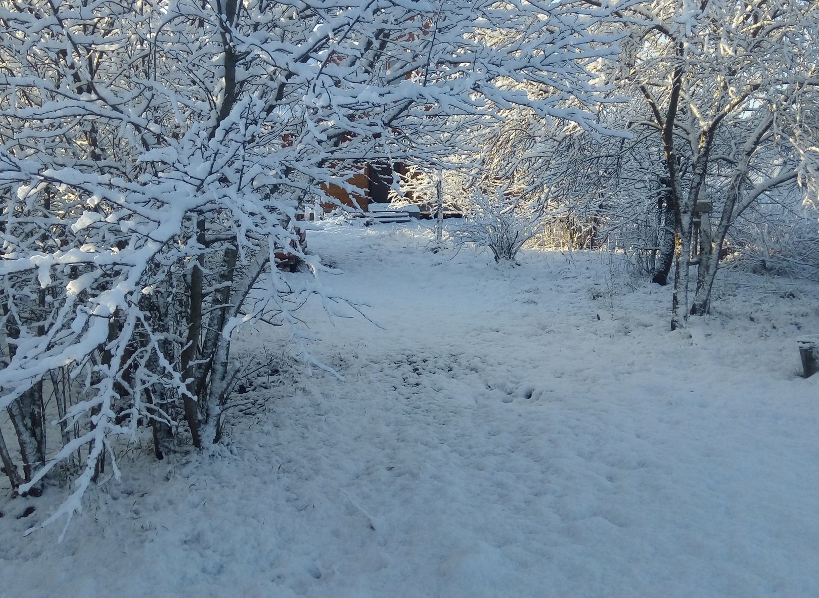Рязанцы делятся в соцсетях фотографиями апрельского снегопада