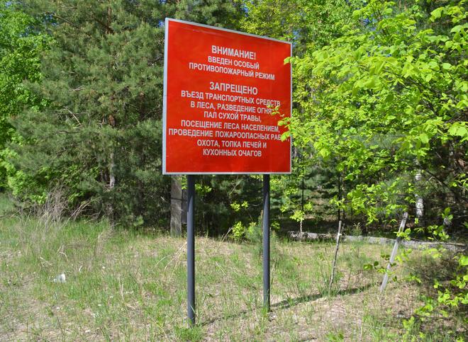 В Рязанской области отменен особый противопожарный режим