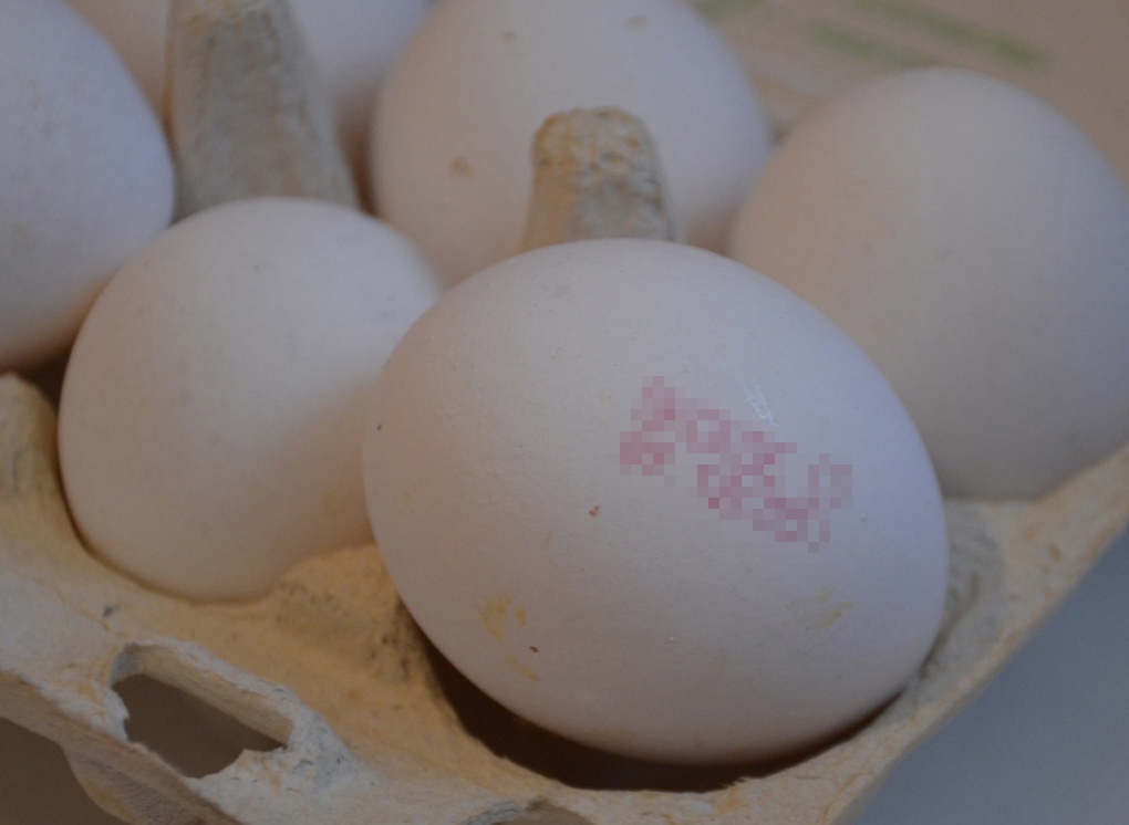 В Минсельхозе заявили о работе над стабилизацией цен на куриное яйцо