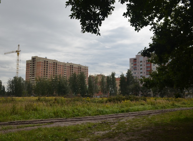 Рязанцы поддержали строительство высоток возле Дубовой аллеи в Дашково-Песочне