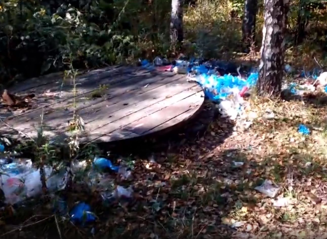 У рязанской школы обнаружили свалку «медицинских отходов» (видео)