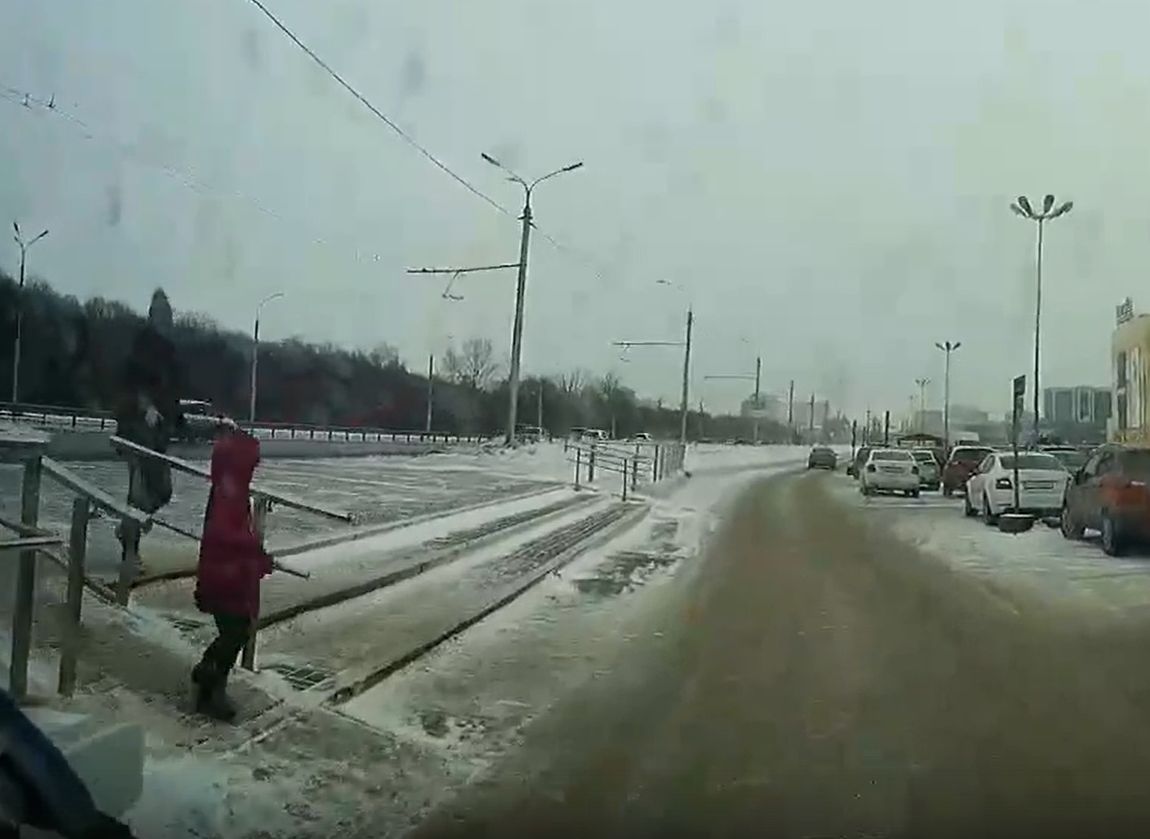 У рязанского ТРЦ «Премьер» девочка убежала от матери и едва не попала под машину