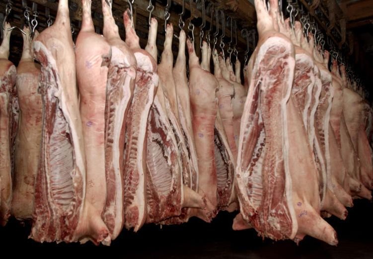 В Рязанской области на 40% выросло производство свинины