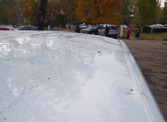 В Рязани через соцсети разыскивают хулиганов, повредивших автомобиль