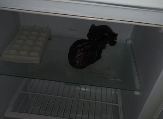 Полицейские обнаружили в холодильнике рязанца более 70 г «синтетики»