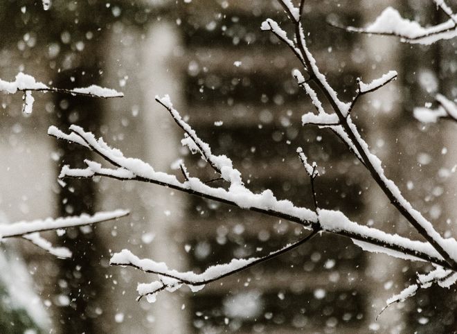 Во вторник в Рязанской области ожидаются мокрый снег и гололедица